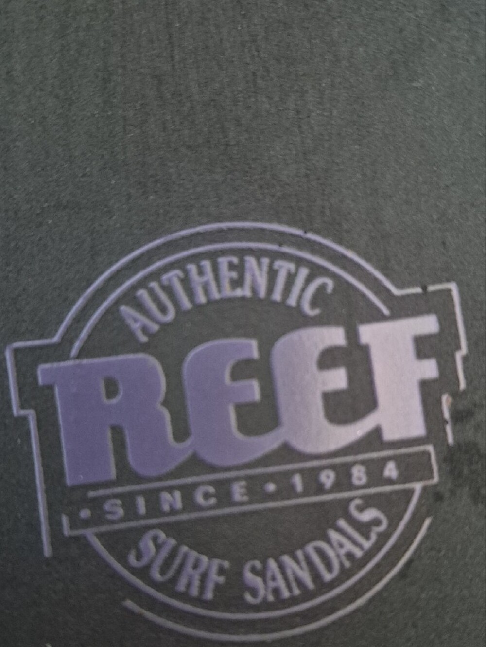 REEF Women - Swim Subcategory Identification - Picture 5 of 5